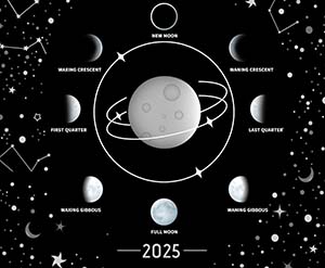 Посів квітів у 2025 - найкращі дні, Посівний календар для квітів 2025 рік таблиця Україна